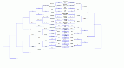 HF-lan3_singles_bracket.gif